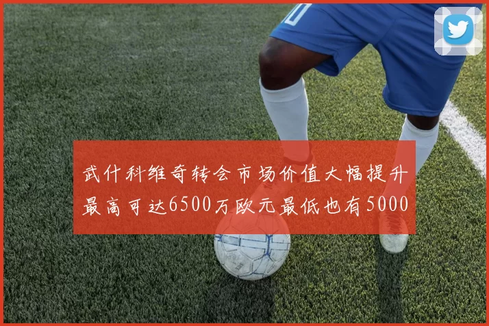 武什科维奇转会市场价值大幅提升最高可达6500万欧元最低也有5000万欧元
